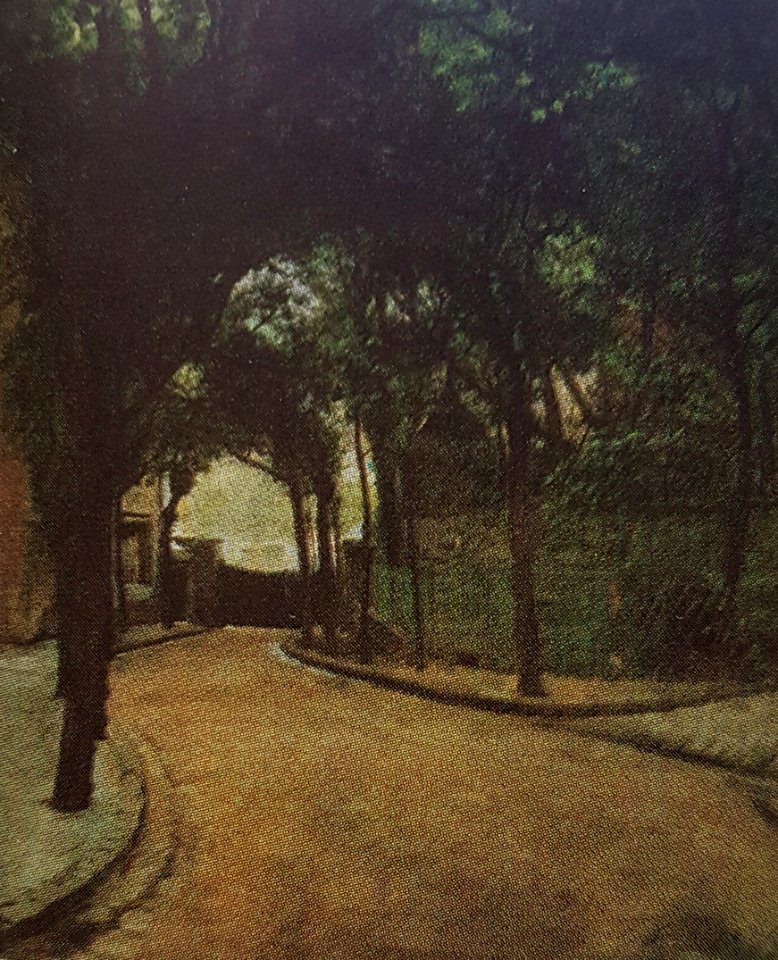 Avenue Frochot x Hugo Birger