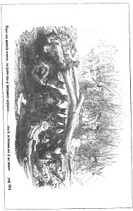Avventure di Robinson Crusoe 0419 0