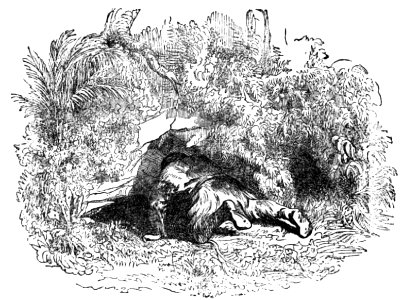 Avventure di Robinson Crusoe-0256