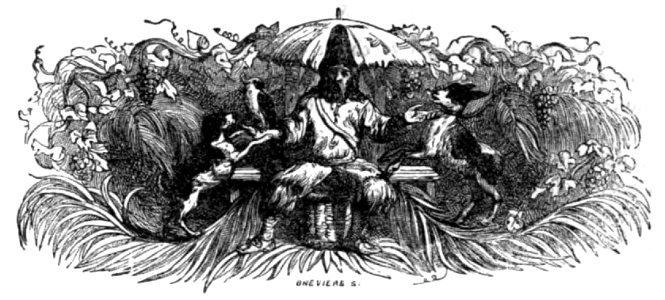 Avventure di Robinson Crusoe-0427a