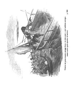 Avventure di Robinson Crusoe 0632 0