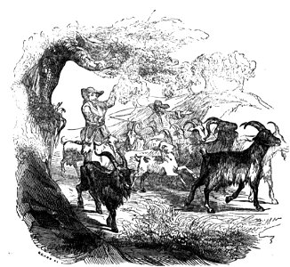 Avventure di Robinson Crusoe-0490
