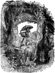Avventure di Robinson Crusoe p220