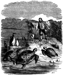 Avventure di Robinson Crusoe p174
