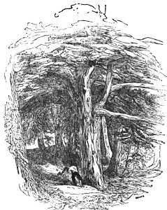Avventure di Robinson Crusoe-0186