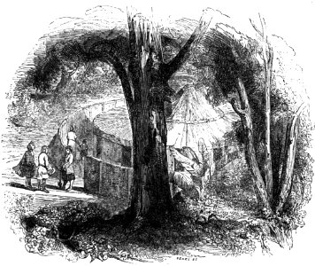 Avventure di Robinson Crusoe-0552