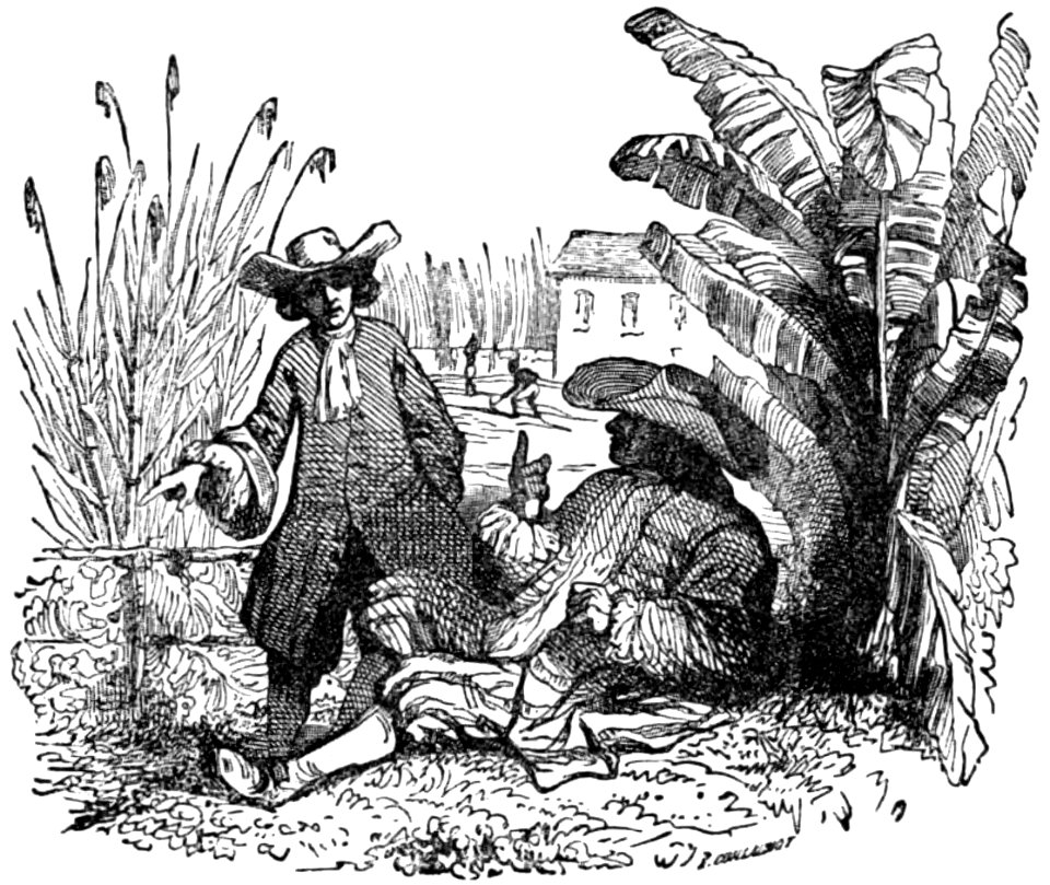 Avventure di Robinson Crusoe p060
