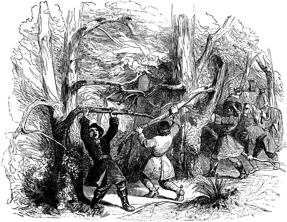 Avventure di Robinson Crusoe p797