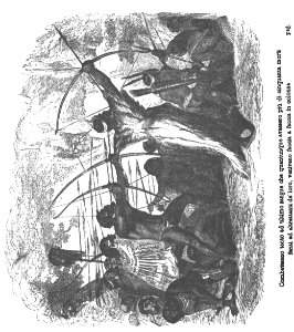Avventure di Robinson Crusoe 0536 0