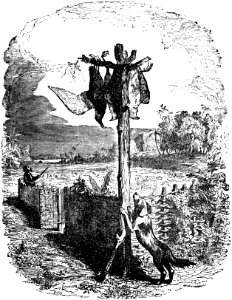 Avventure di Robinson Crusoe p172