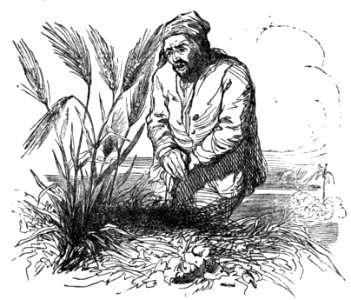 Avventure di Robinson Crusoe-0118