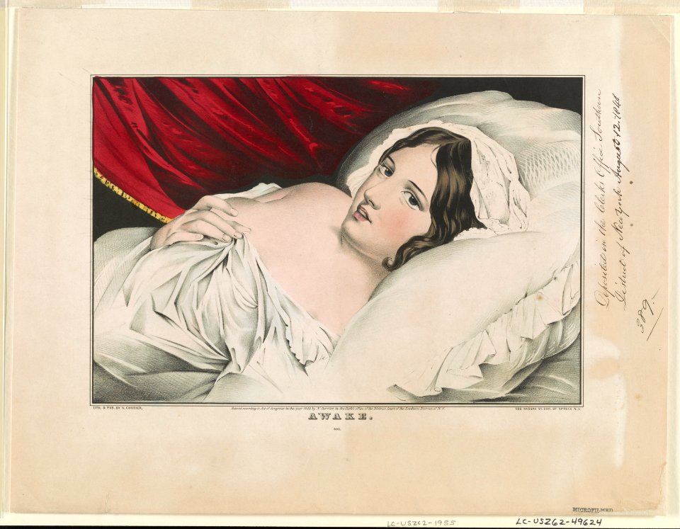 Awake LCCN90708860
