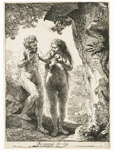 B028 Rembrandt