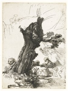 B103 Rembrandt