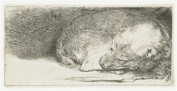 B158 Rembrandt