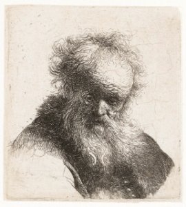 B291 Rembrandt