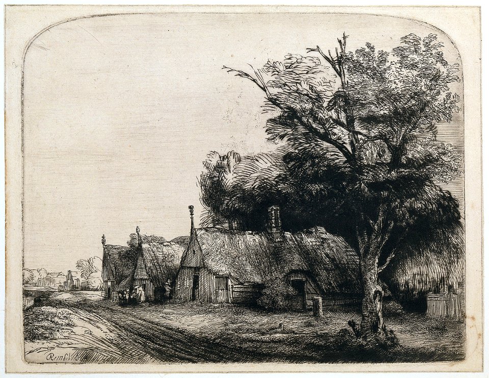 B217 Rembrandt
