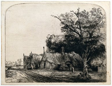 B217 Rembrandt