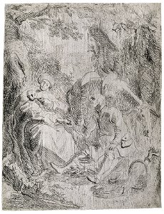 B59 Rembrandt