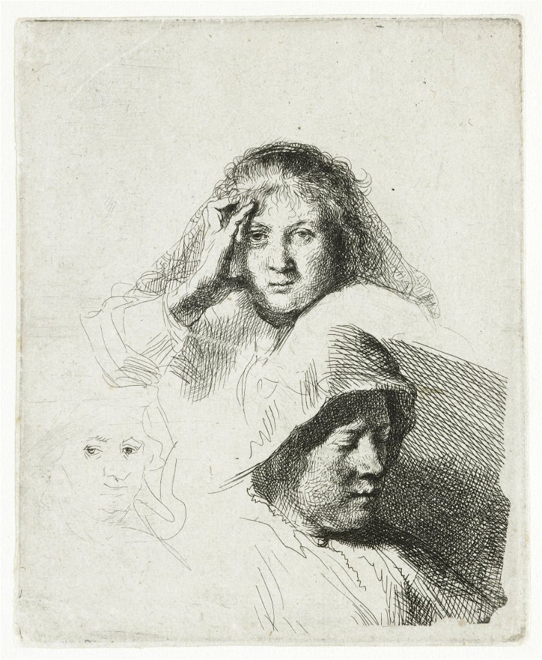 B367 Rembrandt