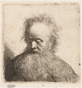 B315 Rembrandt