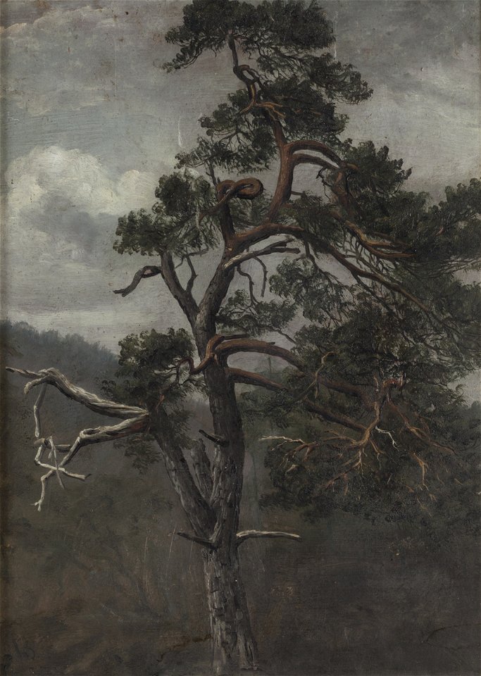 Knud Baade - Furutre - Stavanger kunstmuseum - SG.0003