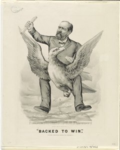 Backed to win LCCN90708865