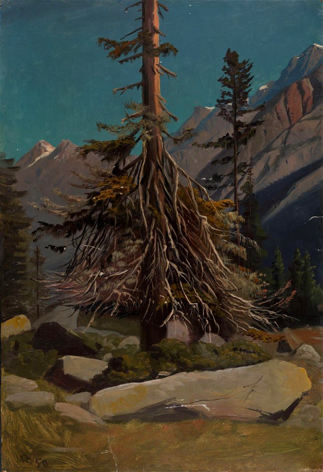 Knud Baade - Study of Trees in the Alps - NG.M.02675 - National Museum of Art, Architecture and Design