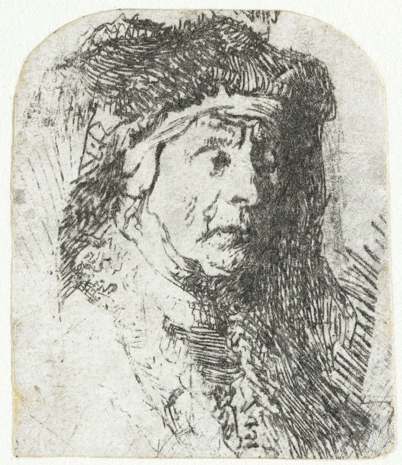 B355 Rembrandt