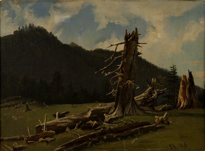Knud Baade - Landskap med døde trær - Stavanger kunstmuseum - SG.0221