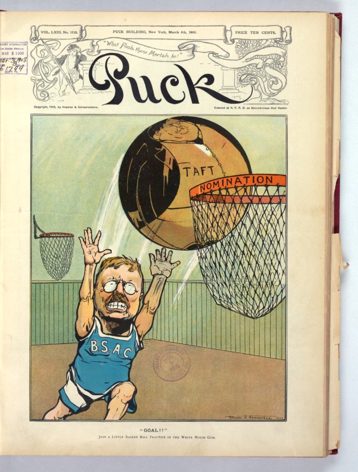 Goal! - Frank A. Nankivell 1908. LCCN2011647286