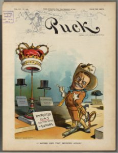 I rather like that imported affair - Grant Hamilton. LCCN2011645569