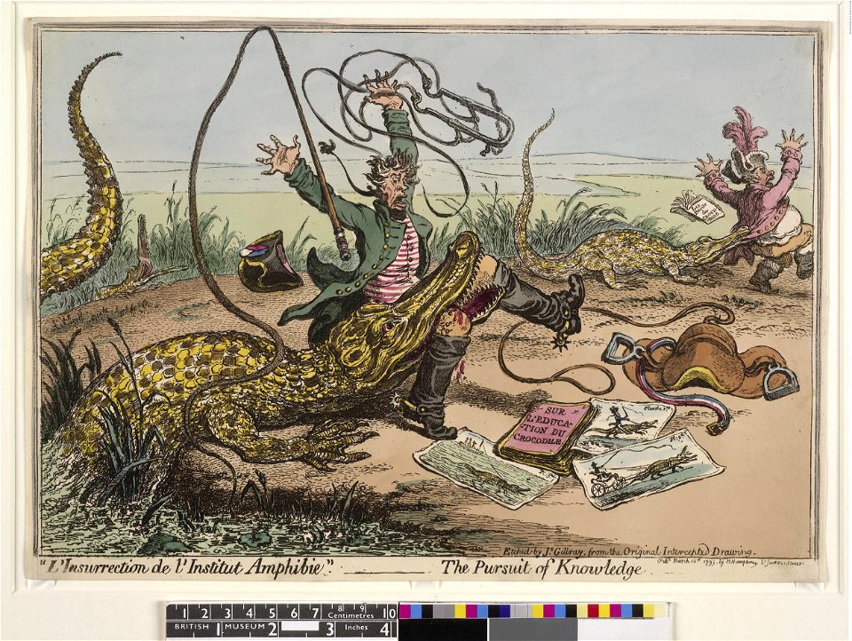 L'Insurrection de l'Institut Amphibie-The Pursuit of Knowledge. (BM 1868,0808.6826)