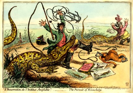 L'Insurrection de l'Institut Amphibie-The Pursuit of Knowledge. (BM 1851,0901.961)