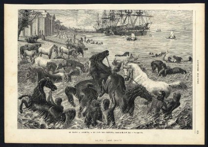 Morning in Calcutta- the bathing of the horses, from 'l'Univers Illustre', 1869