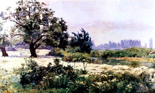 Paisaje con Manzanillas