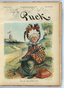 She has seen better days - J.S. Pughe. LCCN2012647650