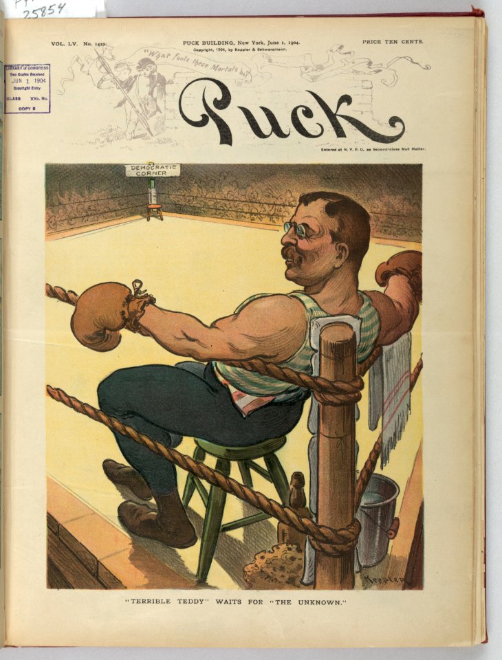 Terrible Teddy waits for the unknown - Keppler. LCCN2011645537