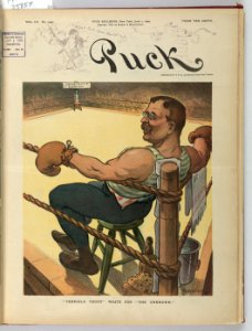 Terrible Teddy waits for the unknown - Keppler. LCCN2011645537