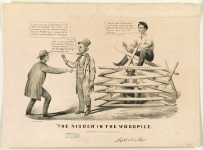 The nigger in the woodpile LCCN2003674571