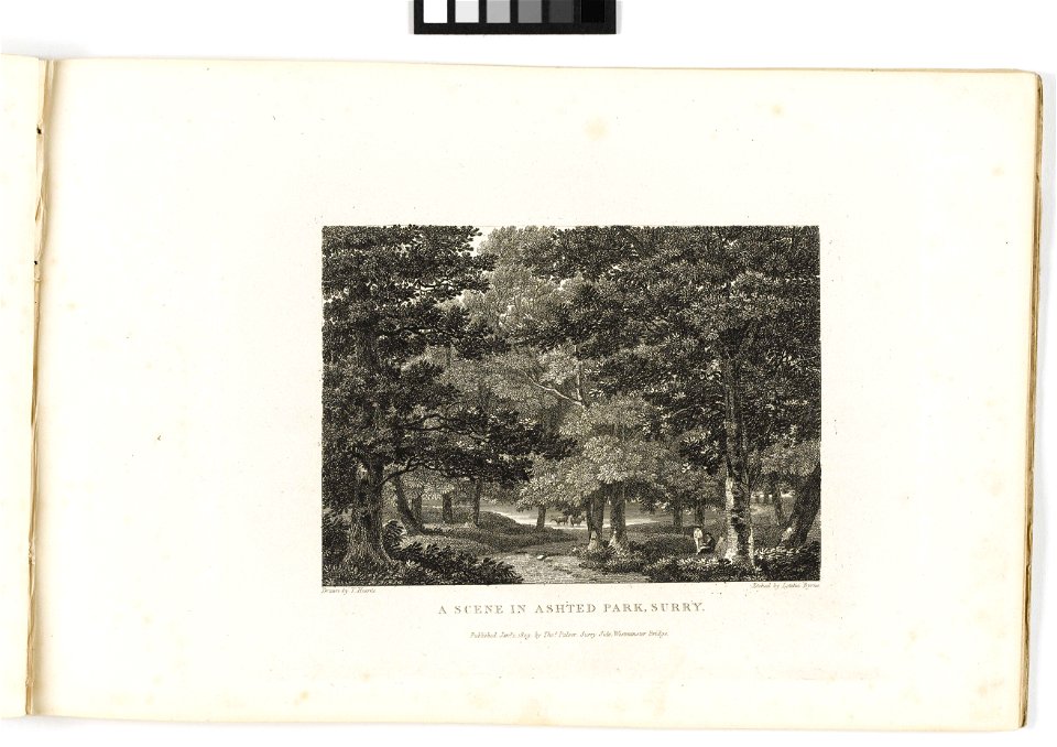 'A scene in Ashted Park, Surry' RMG PY6157