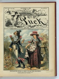 Whitelaw Reid refuses to accept the New York senatorship - Gillam. LCCN2012645150