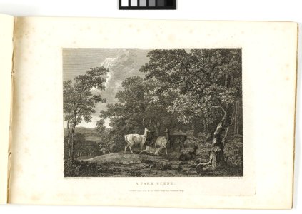 'A Park Scene' RMG PY6155