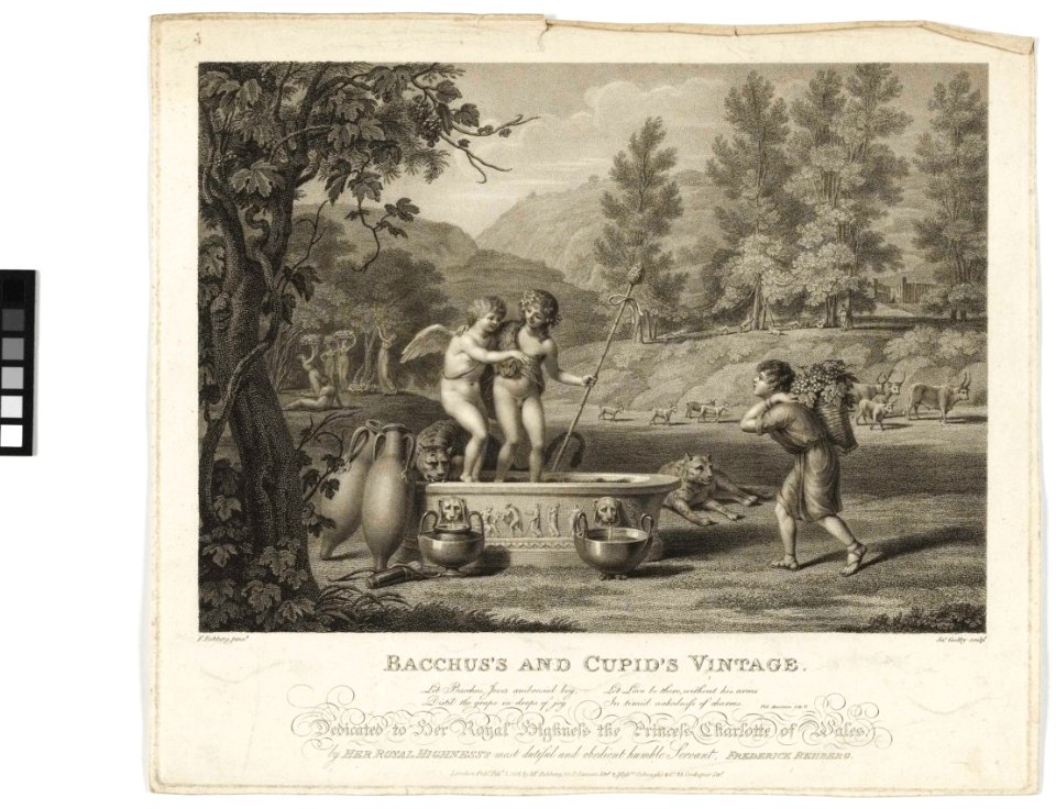 'Bacchus's and Cupid's Vintage' RMG PY6104