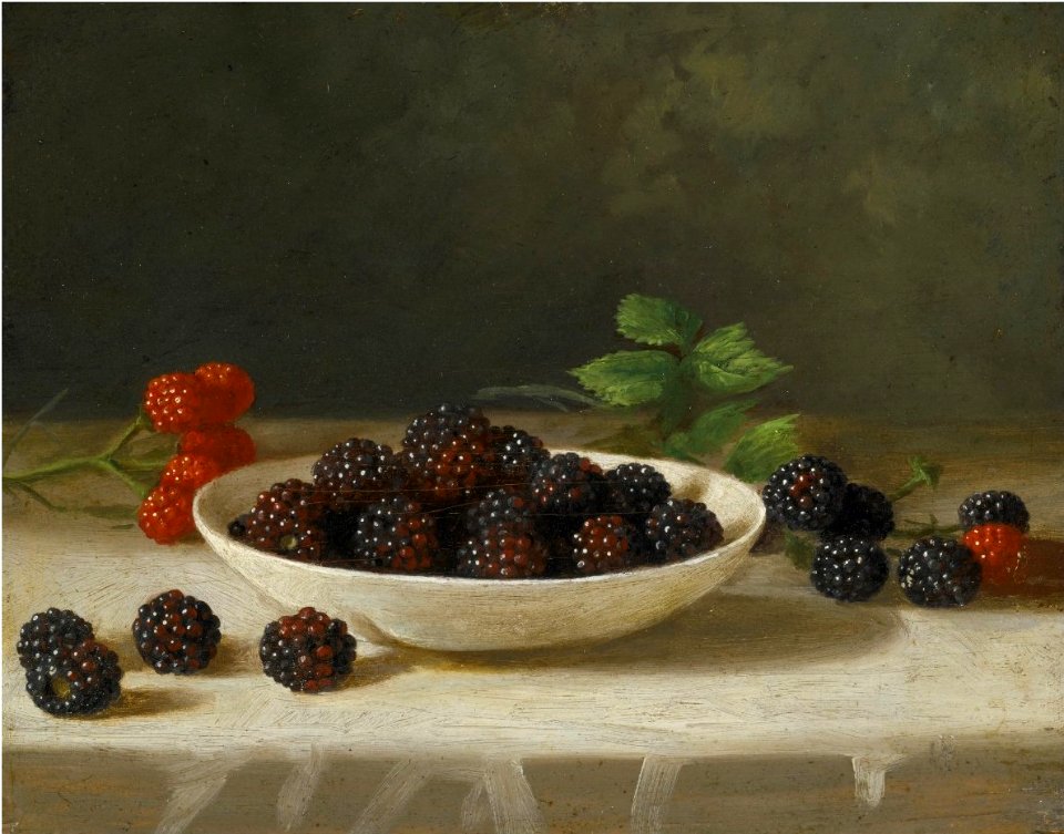'Blackberries' by John F. Francis