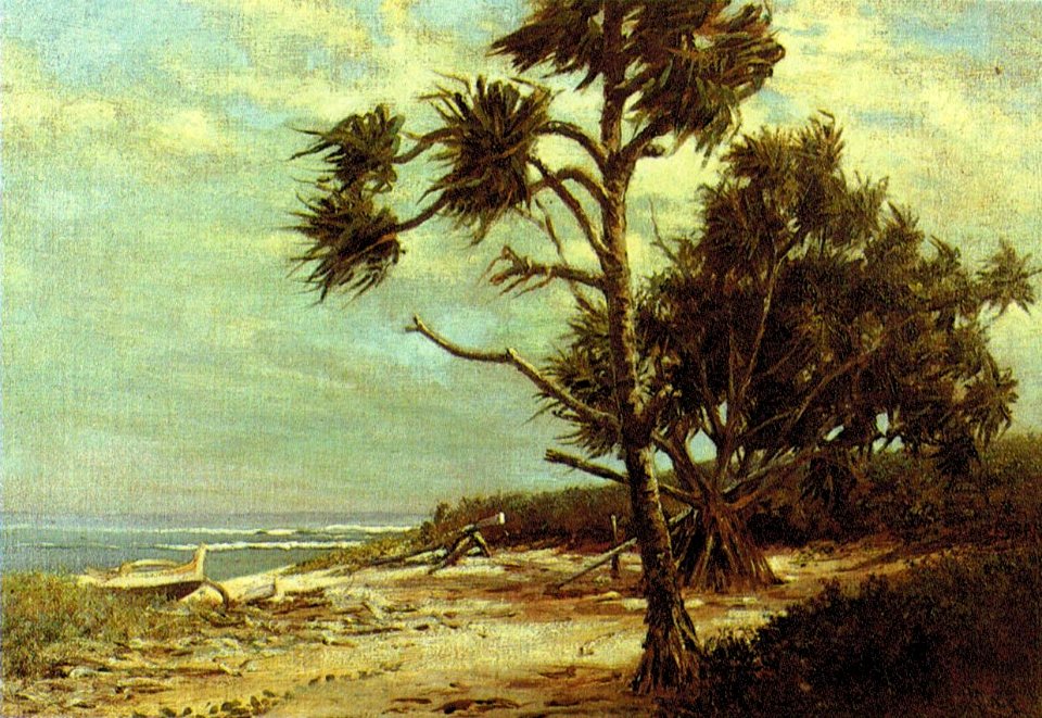 'Canoe and Hala Tree' by D. Howard Hitchcock, c. 1900
