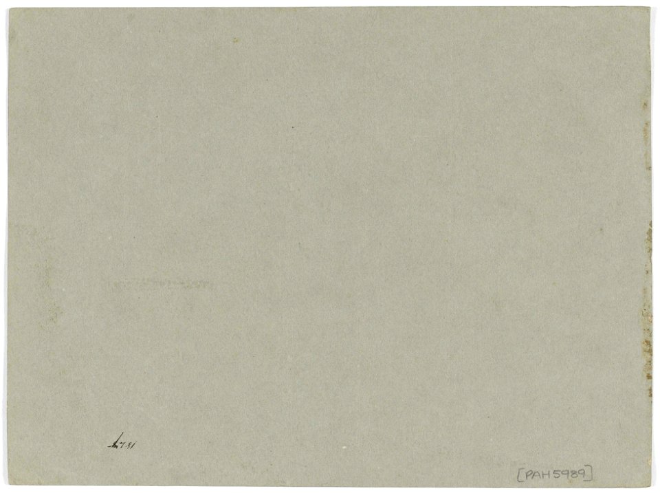 'Castor' RMG PY5989-002