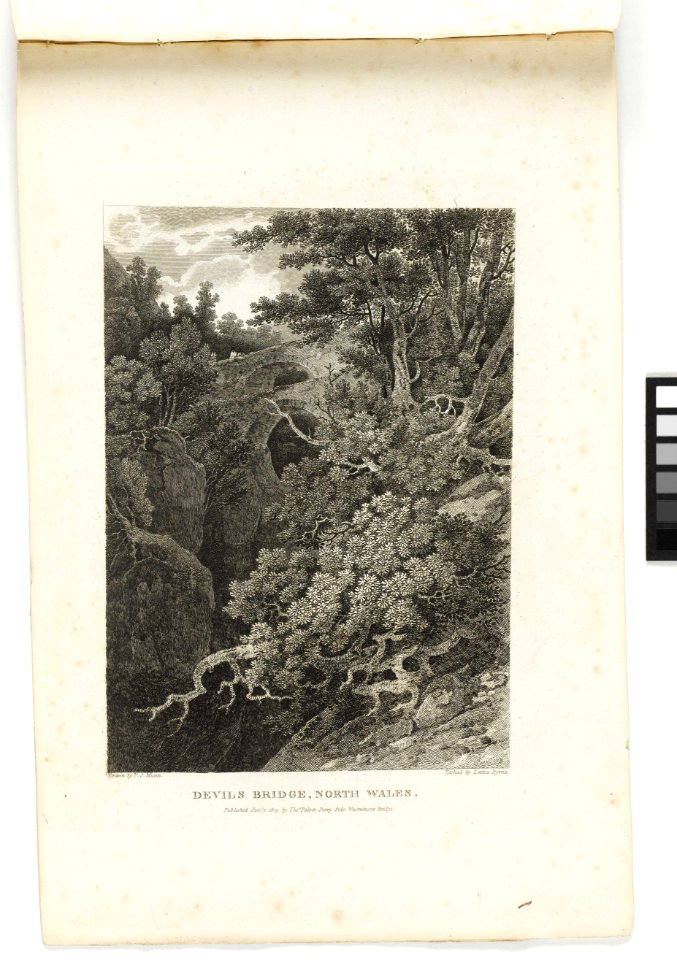 'Devil's Bridge, North Wales' RMG PY6164