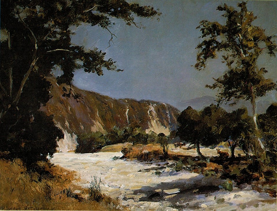 'Dry Arroyo, California' by D. Howard Hitchcock, 1910