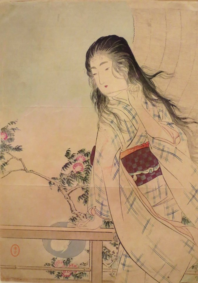 'Iyo Blind' by Mizuno Toshikata, 1906, Honolulu Museum of Art, 27477
